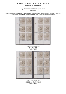 DG-N160-0001-Regional-Machin-Cylinder-Blocks-Northern-Ireland