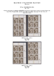 DG-W115-0001-Regional-Machin-Cylinder-Blocks-Wales