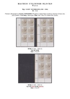 DG-W160-0001-Regional-Machin-Cylinder-Blocks-Wales