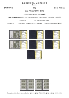 DG-W300-0001-Regional-Machins-Wales