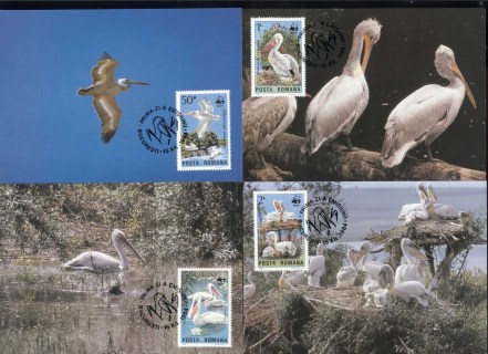 Romania-1984 WWF Dalmation Pelican 4xMaxicard