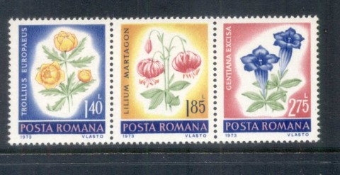 Romania-1973-Flowers-1-jpg-40.jpg