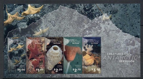 Ross-Dependency-2016-Marine-Life-Creatures-of-the-Antarctic-Sea-Floor-MS-MUH