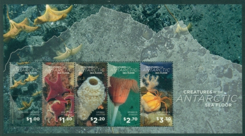 Ross-Dependency-2016-Marine-Life-Creatures-of-the-Antarctic-Sea-Floor-MS-Muh