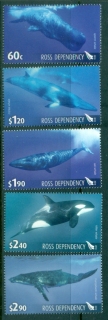 Ross-Dependency-2010-Marine-Life-Whales-MUH