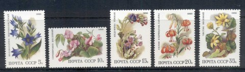 Russia-1988-Flowers-Populating-Deciduous-Forests-MUH