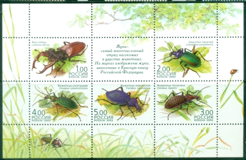 Russia-2003-Insects-Beetles-MS-MUH