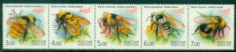 Russia-2005-Insects.-Bumblebees-