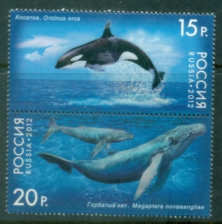 Russia-2012-Marine-Life-Whales-MUH