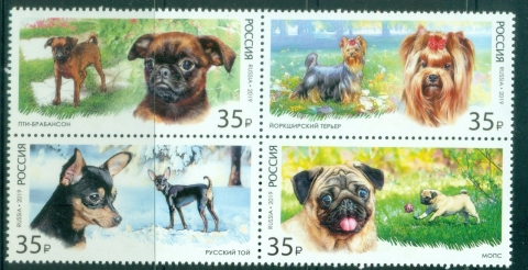 Russia-2019-Pets-Dogs-MUH