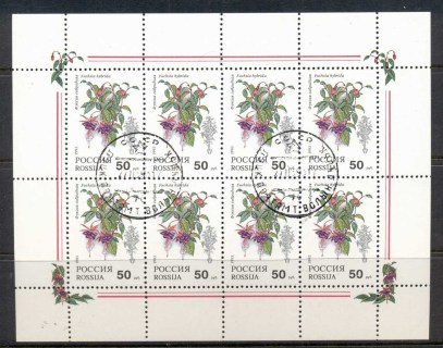 Russia-1993-Flowers-50k-sheetlet-CTO