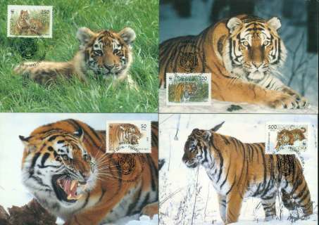 Russia-1993-WWF-Tigers-Maxicards-FDC-lot51657