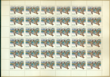 Russia-1995-Birds-Ducks-750r-sheet-MUH-XL-Shipping