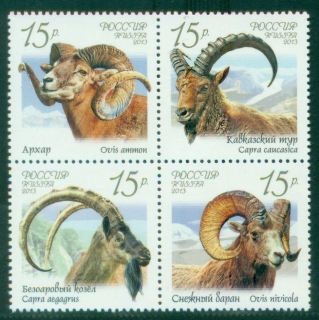 Russia-2013-Wild-Goats-block-MUH