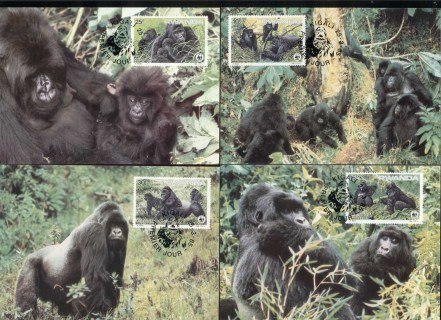 Rwanda-1985 WWF Mountain Gorilla 4xMaxicard