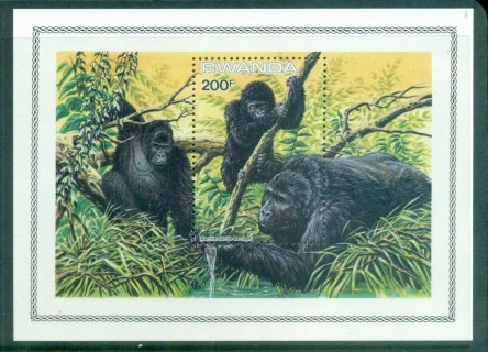 Rwanda-1985-Gorillas-MS-MUH