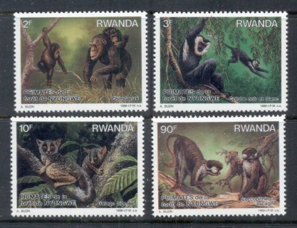 Rwanda-1988-Primates-of-Nyungwe-Forest-MUH