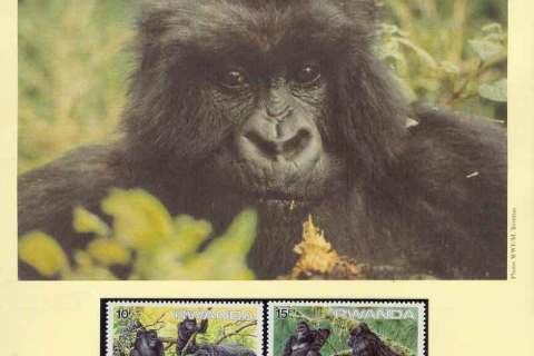 Rwanda-1985 WWF Mountain Gorilla