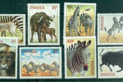 Rwanda-1984-Wildlife