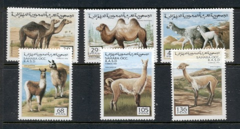 Sahara-Occidental-1996-Camels-lamas-MUH