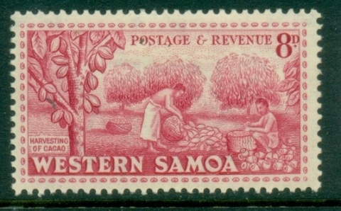 Samoa-1952-Pictorial-8d-Harvesting-Cacao-MLH