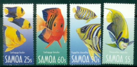 Samoa-2003-Marine-Life-Angelfish-MUH
