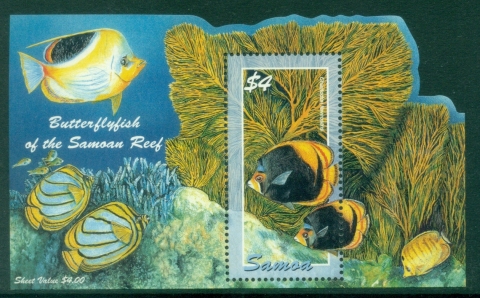Samoa-2004-Marine-Life-Butterflyfish-MS-MUH