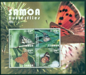 Samoa-2015-Insects-Butterflies-MS-MUH