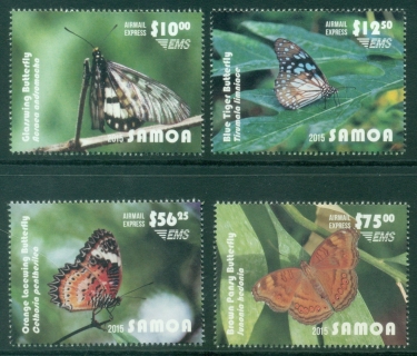 Samoa-2015-Insects-Butterflies-MUH