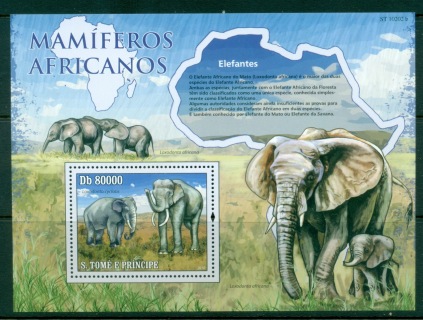 Sao-Tome-et-Principe-2010-African-Mammals_5