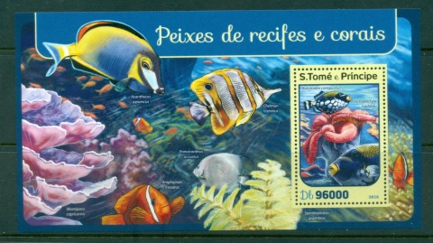 Sao-Tome-et-Principe-2016-Marine-Life_3