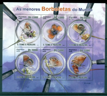 Sao-Tome-et-Principe-2010-Insects