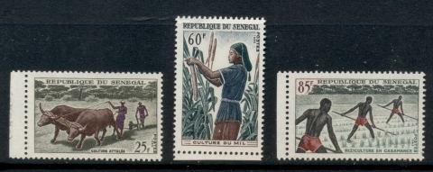 Senegal 1965 Agridulture