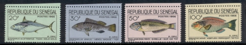 Senegal 1966 Marine Life, Fish