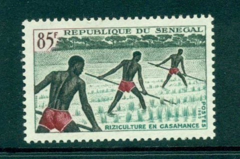 Senegal 1965 Men in Rice Field 85f