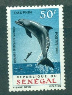 Senegal 1970 Bottle-Nosed Dolphin