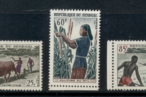 Senegal 1965 Agridulture
