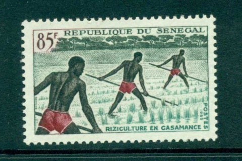Senegal 1965 Men in Rice Field 85f