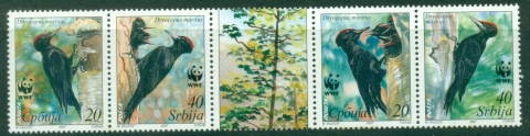 Serbia-2007-WWF-Black-Woodpecker-MUH