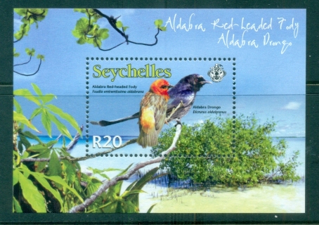 Seychelles-2008-WWF-Aldabra-Drongo