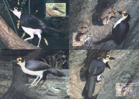 Sierra-Leone-1994 WWF White Necked Picarthes , bird Maxicards