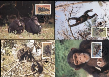 Sierra-Leone-1983 WWF Chimpanzee 4xMaxicard