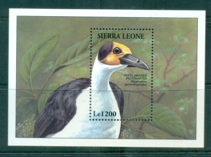 Sierra-Leone-1994-Birds