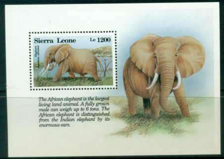 Sierra-Leone-1993-Wildlife-Elephant-MS-MUH