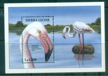 Sierra-Leone-1994-Birds