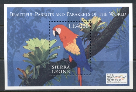 Sierra-Leone-2000-Beautiful-parrots-Paraqueets-of-the-World_1