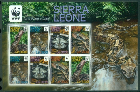 Sierra-Leone-2011-WWF-Puff-Adder-MS-MUH_1