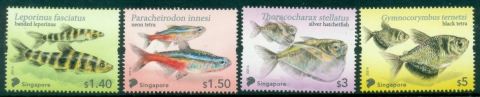 Singapore-2021-Definitive-Marine-Life-Tetra-Fish-MUH