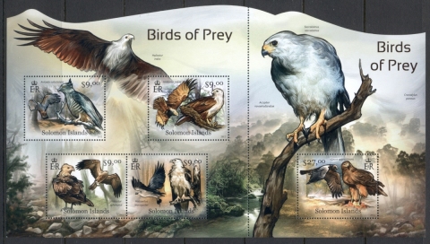 Solomon-Is-2012-Birds-of-Prey