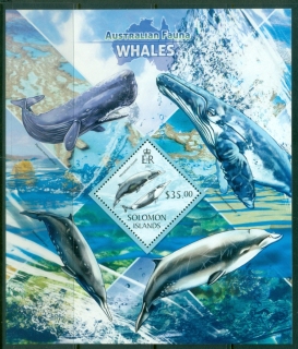 Solomon-Is-2013-Australian-Fauna-Whales-MS-MUH
